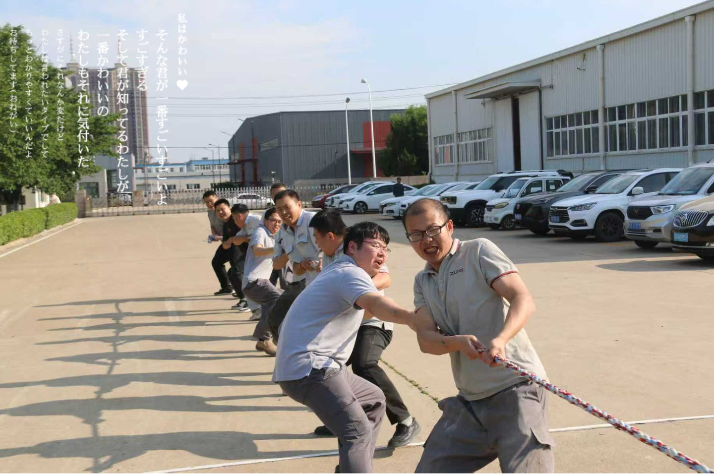 <b>凝心聚力,砥砺前行:青岛宙庆2025夏季团队拓展活动圆满举行</b>